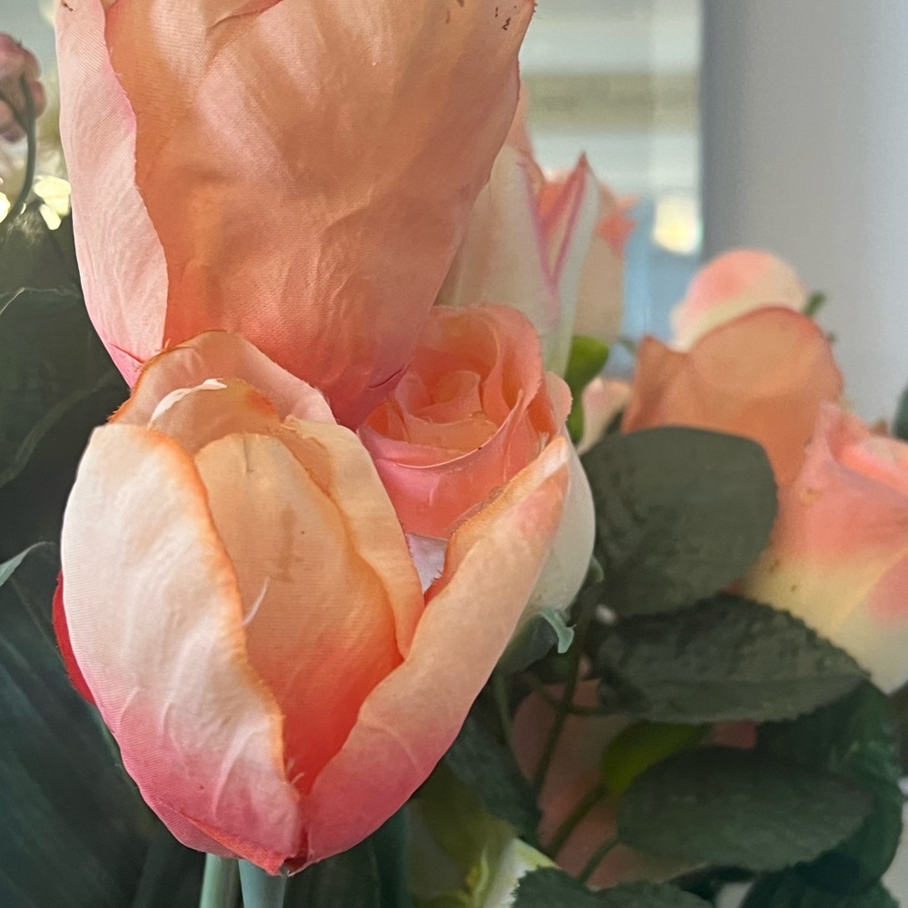 Meet your Posher, Vilma